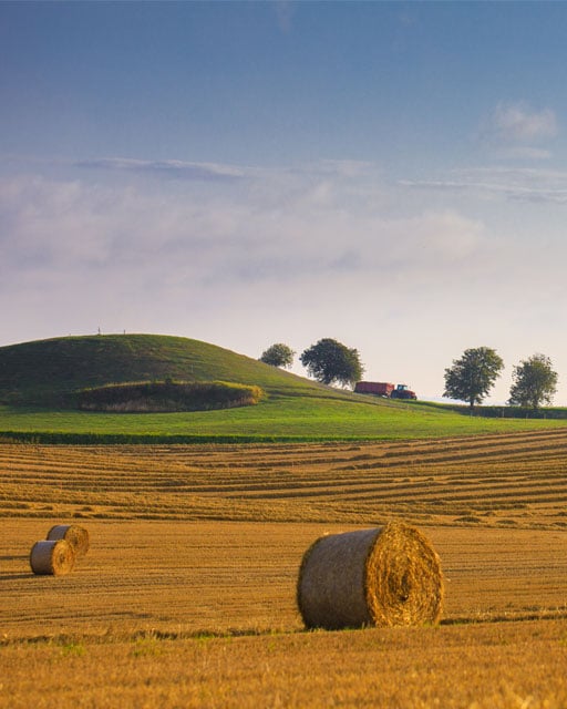 Voor een vitale landbouw